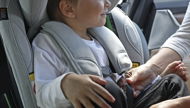 BeSafe Belt Guard - Car Seat Accessory