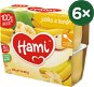 Hami First Spoon 100% Apple and Banana 6 × (4 × 100g) - Baby Food