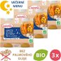 BABYBIO Carrot Pumpkin Rice 3 × (2 × 200 g) - Baby Food