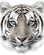 Jerry Fabrics Mikroflanel takaró - Fehér tigris - Pléd