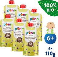 SALVEST Ponn BIO Banana with blueberry and cereal flakes 6×110 g - Meal Pocket