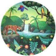 TOMMY LISE Plate Chasing Waterfall - Plate