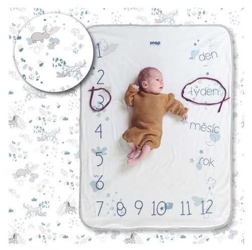 SNAP THE MOMENT Photo Blanket - Pale Safari - Blanket - Main image