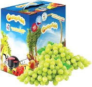 Fruit Juice Apple-White Grape 3l - Juice