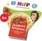 HiPP BIO Bolonské špagety 6× 250 g - Hotové jedlo