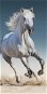 Jerry Fabrics Horse 03 70×140 cm - Gyerek fürdőlepedő