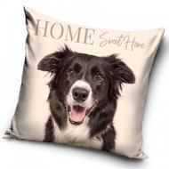 CARBOTEX povlak na polštářek Border Kolie 40×40 cm - Povlak na polštář