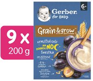 GERBER nemléčná kaše pšenično-ovesná švestka 9× 200 g - Dairy-Free Porridge