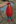 Hooded raincoat, size 128, red