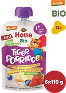HOLLE Bio Demeter Tiger porridge 6 × 110 g - Meal Pocket