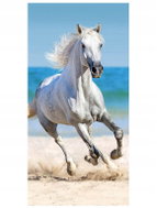 FARO Beach towel Horse on the beach 70 × 140 cm - Children's Bath Towel