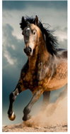 FARO Towel Horse in the storm 70 × 140 cm - Children's Bath Towel