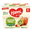 Fruit snack 100% Apple kiwi acerola 4×100 g
