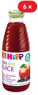 HiPP BIO It consists of red fruit fruits - 6 × 500 ml - Drink
