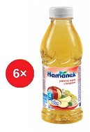 Hamanek with apples and fennel 6 × 500 ml - Drink