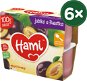 Hami First Spoon 100% Plum and Apple 6 × (4 × 100g) - Baby Food