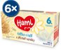 Hami Milk with Vanilla Flavour 6× (2× 250ml) - Drink