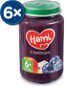 Hami Snack with Blueberries 6 × 200g - Baby Food