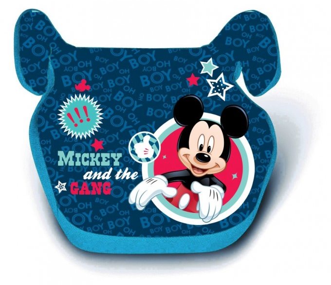 Mickey mouse booster on sale seat