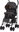 Chipolino Milano Zebra stroller