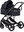 Stroller Amore 2in1 Blackberry
