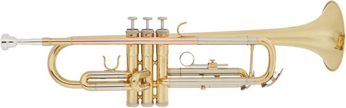 BACIO INSTRUMENTS BTR-100 - Pipe - Main image