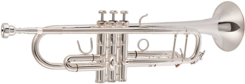BACIO INSTRUMENTS BTR-100S - Pipe - Main image