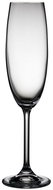 Bitz Champagne glasses 22cl (set of 2) - Glass