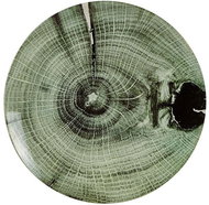 Villa Collection Decorative plate Green 30 cm - Plate