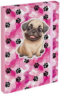 BAAGL Folders for school notebooks A4 Paws - School Folder