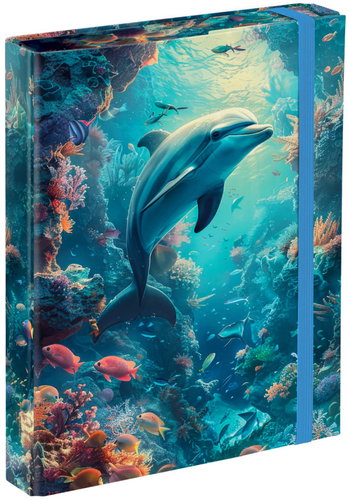 BAAGL Folders for school notebooks A5 Dolphin - School Folder - Main image