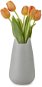 Váza BALVI Váza/stojan Meow 27532, 20 cm, šedá - Váza