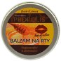 VIVACO Herb Extract - lip balm with Propolis 25 g - Lip Balm