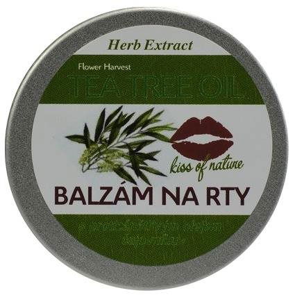 VIVACO Herb Extract - balzám na rty s TTO 25 g - Balzám na rty - Hlavní obrázek