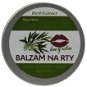 VIVACO Herb Extract - lip balm with TTO 25 g - Lip Balm