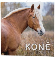 BALOUŠEK Printing Grid Horses 2026, 28,5 × 28,5 cm - Wall Calendar