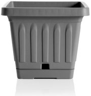 BAMA Flower pot with bowl Terra 30 × 30 cm, grey - Flower Pot