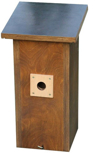 BudCam Bird Box with Built-In IP Camera - Titmouse - Box with IP camera - Main image