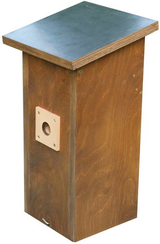 BudCam Birdbox with Built-In IP Camera - Sparrow - Box with IP camera - Main image