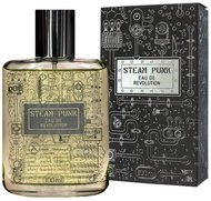 Pan Drwal Steam Punk 100 ml - Eau de Toilette