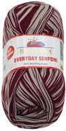 BELLATEX s.r.o. Příze Everyday Senfoni 100 g - 71020-28 vínová, šedá - Yarn