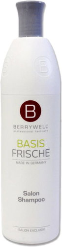 BERRYWELL Basis Frische Salon Shampoo 1001 ml - Shampoo - Main image