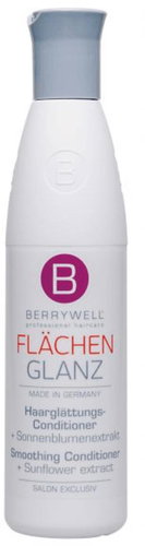 BERRYWELL Flächen Glanz Smoothing Conditioner 251 ml - Conditioner - Main image