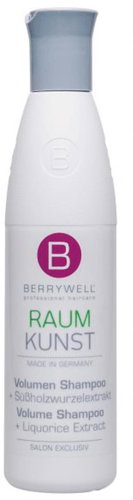 BERRYWELL Raum Kunst Volume Shampoo 251 ml - Shampoo - Main image