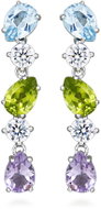 Silver Cat SC673 (Ag 925/1000, 3,32 g) - Earrings