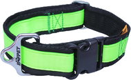 Bafpet Strap collar, solid colour - Green, 40mm × 43-74cm, 18104J - Dog Collar