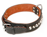 Bafpet Kožený obojek MOLOSS, zdobený kužely 1ř. - Černý, 40mm × 50cm /45-51/ 08101 - Dog Collar
