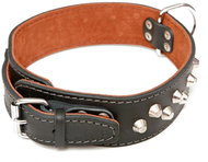 Bafpet Kožený obojek MOLOSS, zdobený kužely 2ř. - Černý, 50mm × 55cm /50-56/ 08110 - Dog Collar