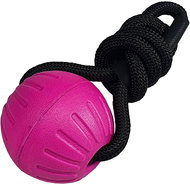 Bafpet FOAM ball with string - Fuchsia, 7cm × 48cm, 09083 - Dog Toy Ball