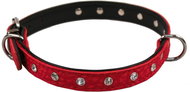 Bafpet Leather collar decorated with rhinestones - Red, 16mm × 40cm /32-38/ 03109 - Dog Collar